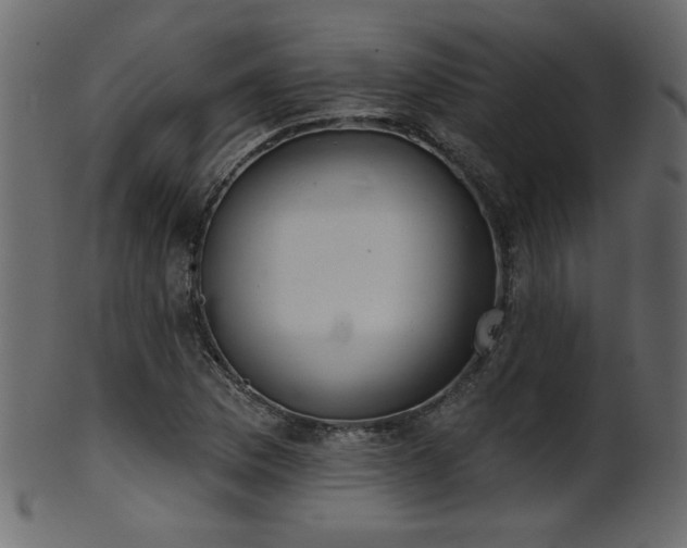 X0000101981169200807181118