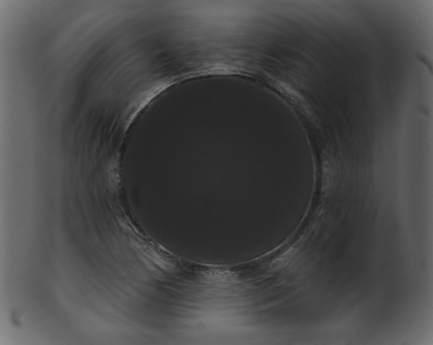 X0000101981170200807181118