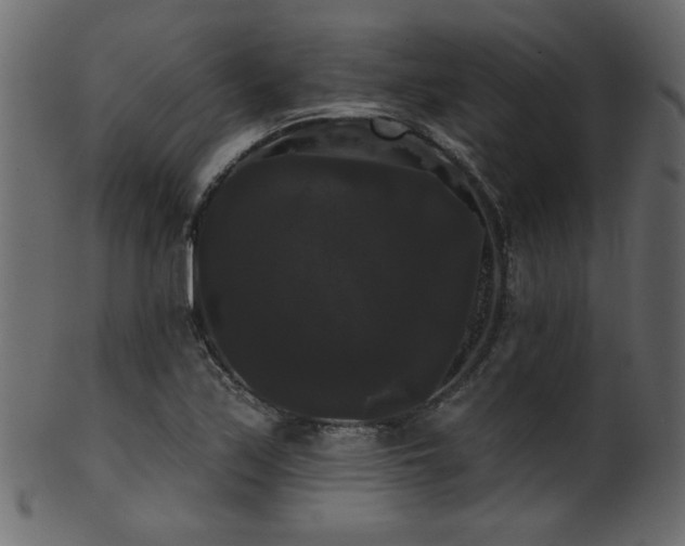 X0000101981171200807181118