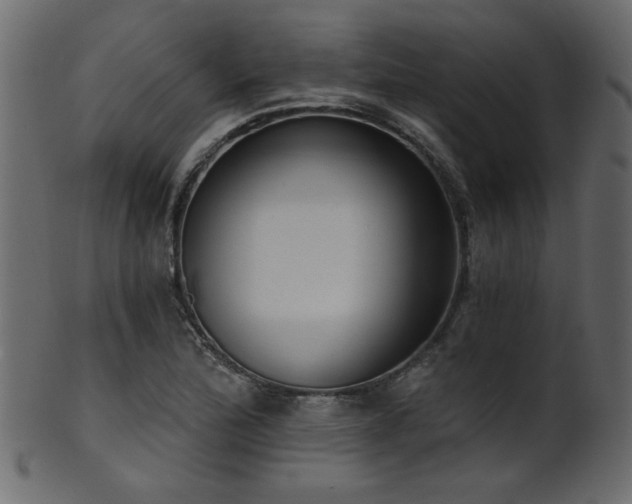 X0000101981172200807181118