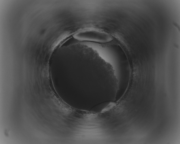 X0000101981173200807181118