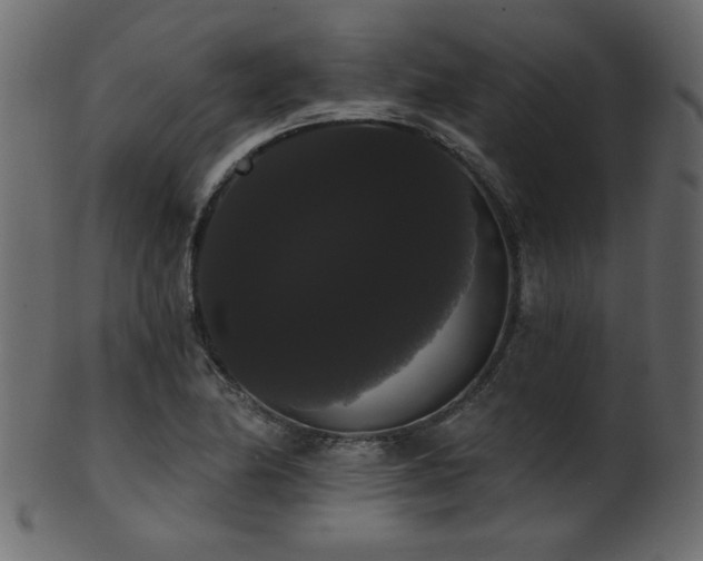 X0000101981174200807181118