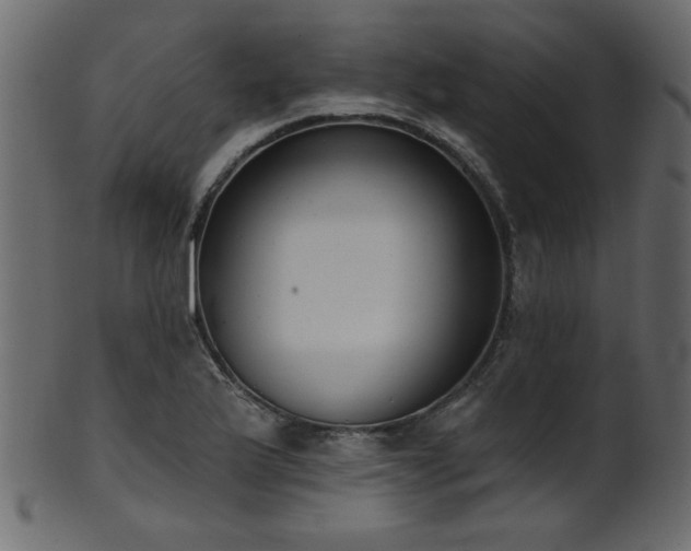 X0000101981175200807181118