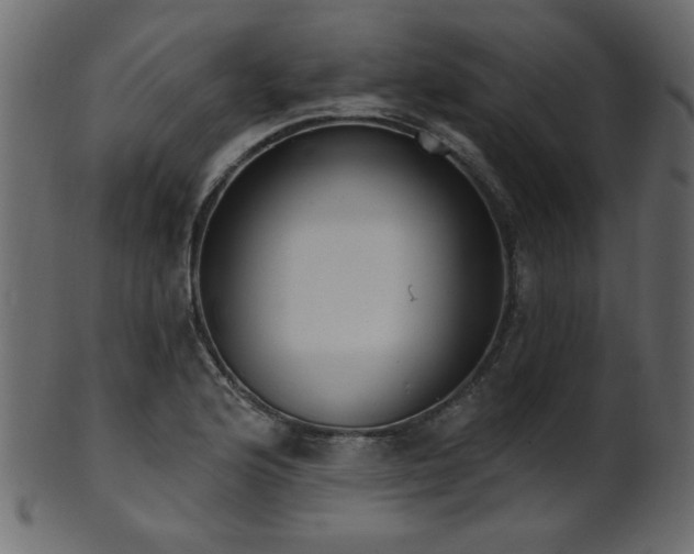 X0000101981176200807181118