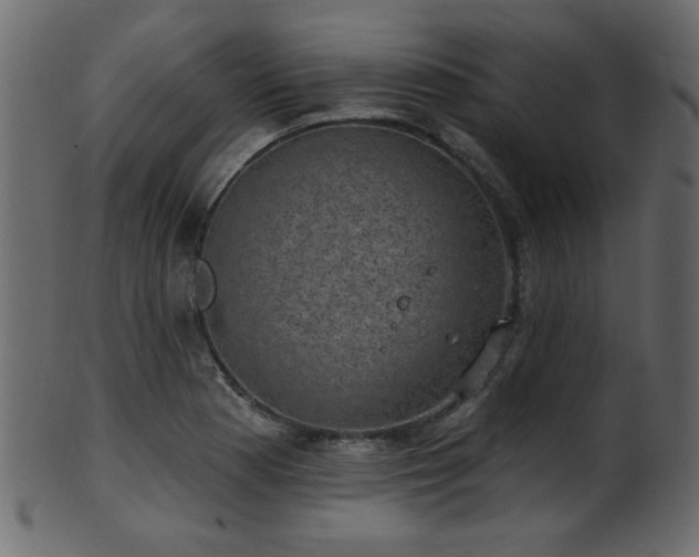 X0000101981177200807181118