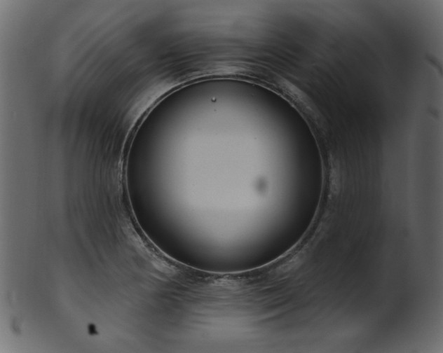 X0000101981178200807181118