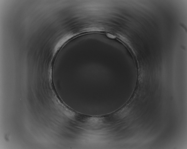 X0000101981179200807181118