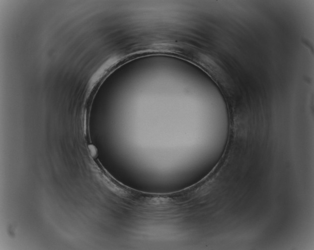 X0000101981180200807181118