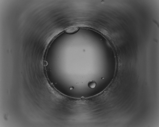 X0000101981181200807181118