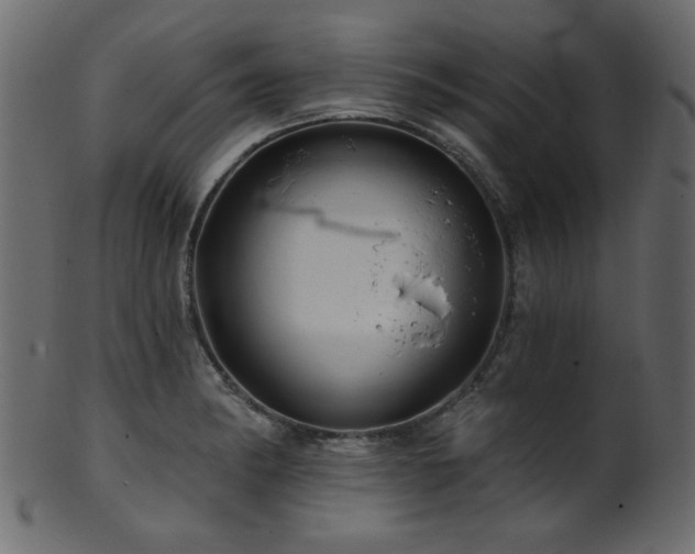 X0000101981182200807181118