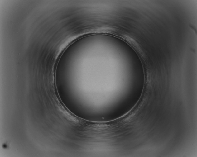 X0000101981184200807181117