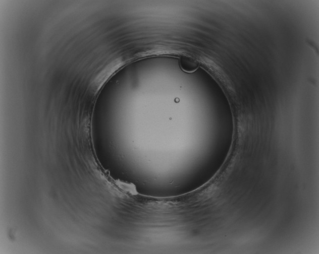 X0000101981185200807181117