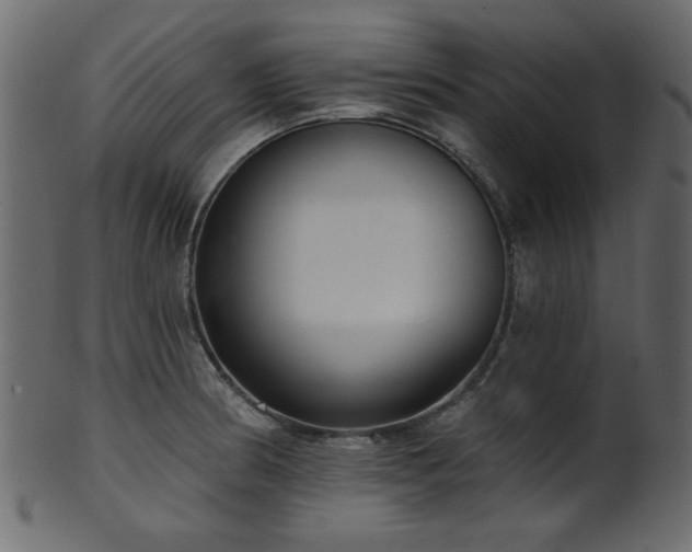 X0000101981186200807181117