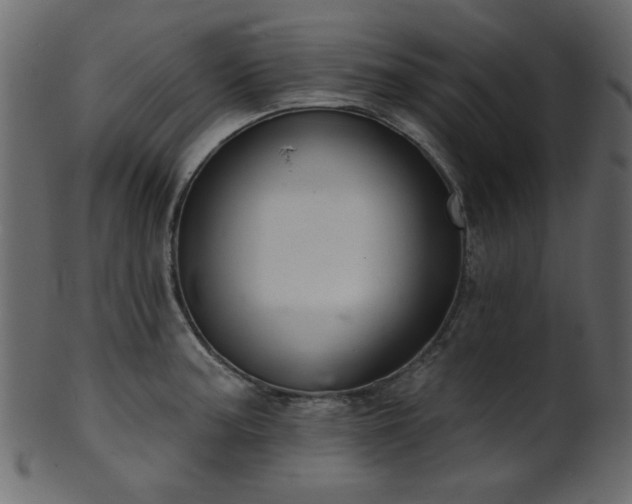 X0000101981187200807181117