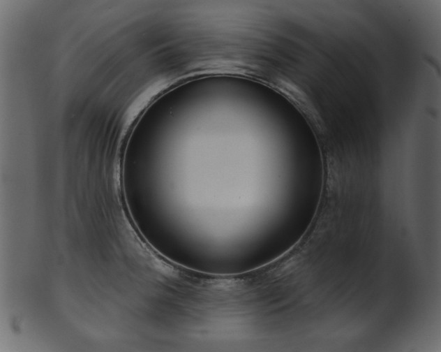 X0000101981188200807181117