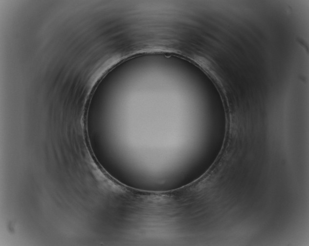 X0000101981189200807181117