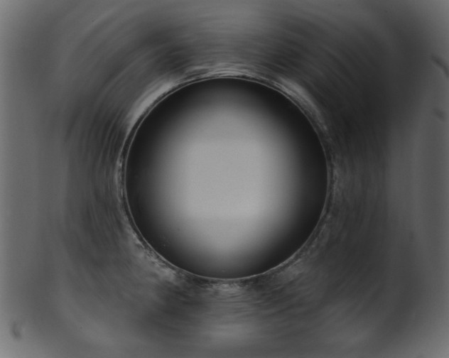 X0000101981190200807181117