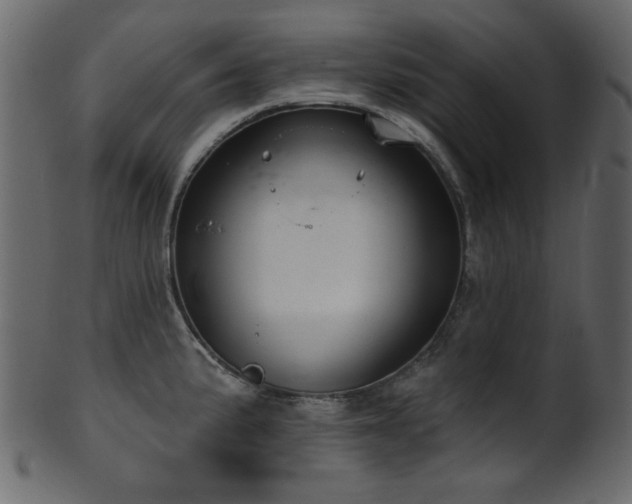 X0000101981191200807181117