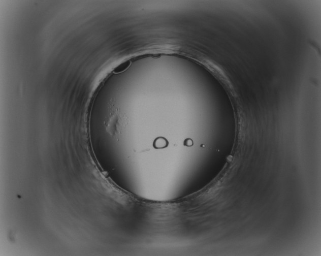 X0000101981192200807181117