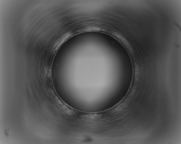 X0000101981193200807181117