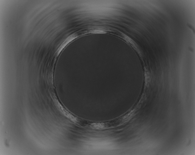 X0000101981194200807181117