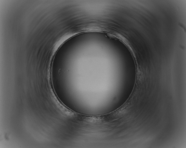 X0000101981195200807181117