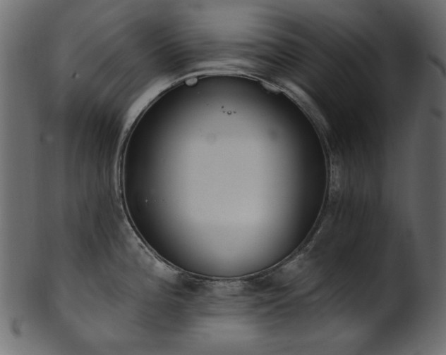 X0000101981196200807181117