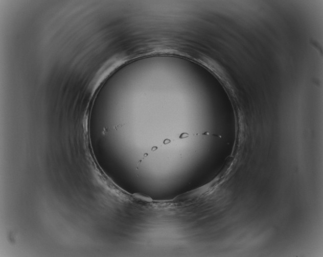 X0000101981198200807181117