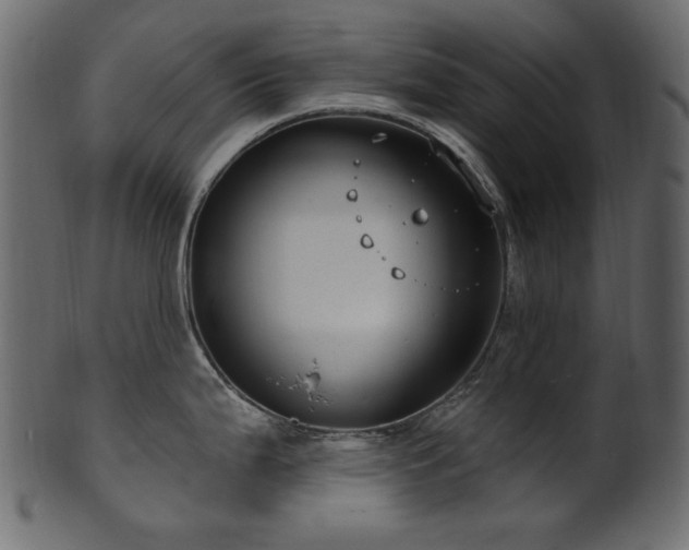 X0000101981199200807181117