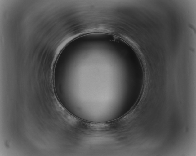 X0000101981200200807181117