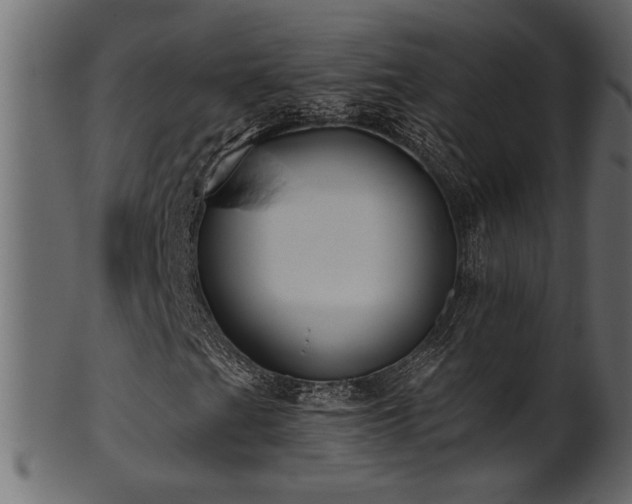 X0000101981201200807181117