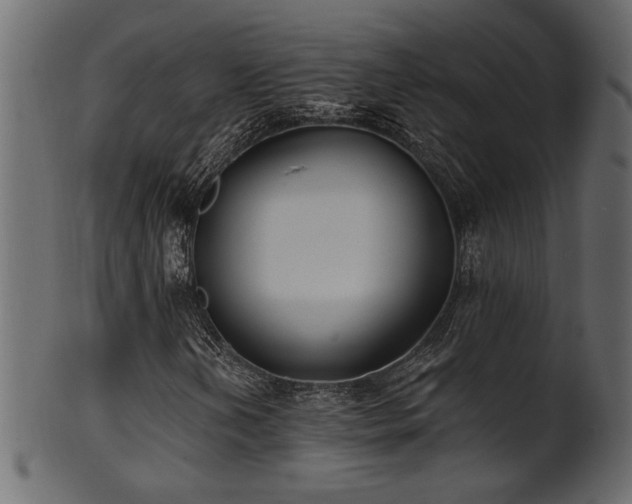 X0000101981202200807181117