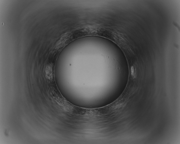 X0000101981203200807181117