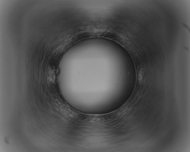 X0000101981204200807181117