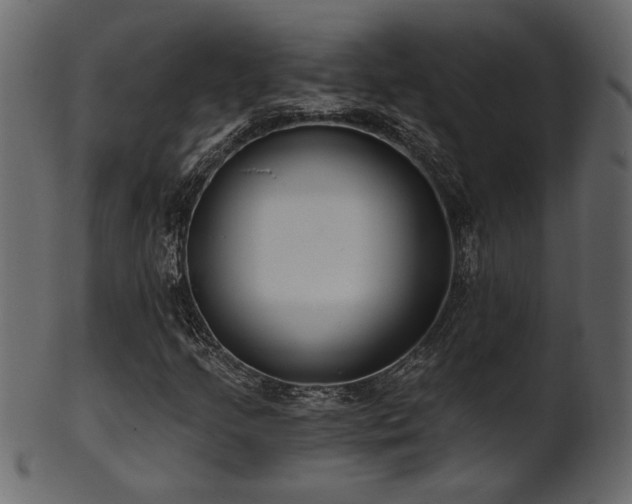 X0000101981205200807181117