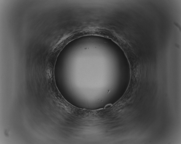 X0000101981206200807181117