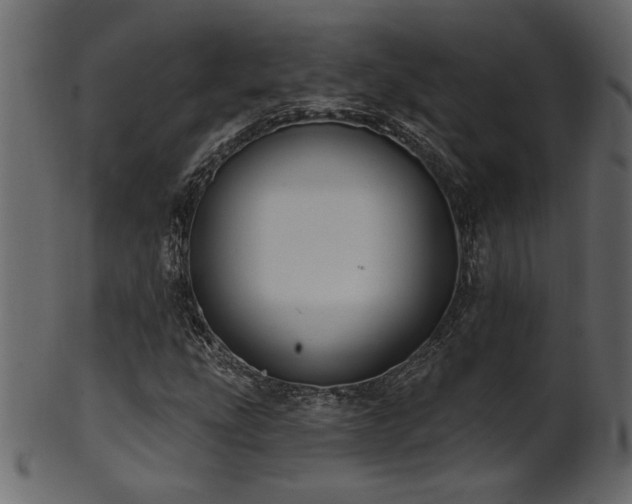 X0000101981207200807181117