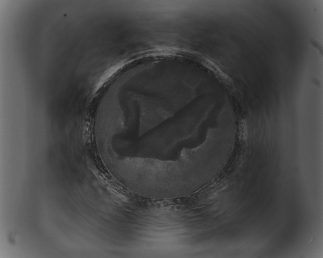 X0000101981208200807181117