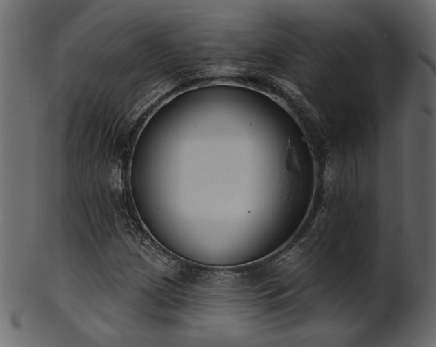 X0000101981209200807181117