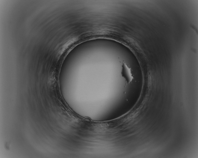 X0000101981210200807181117