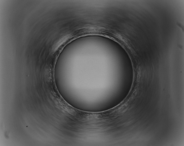 X0000101981211200807181117