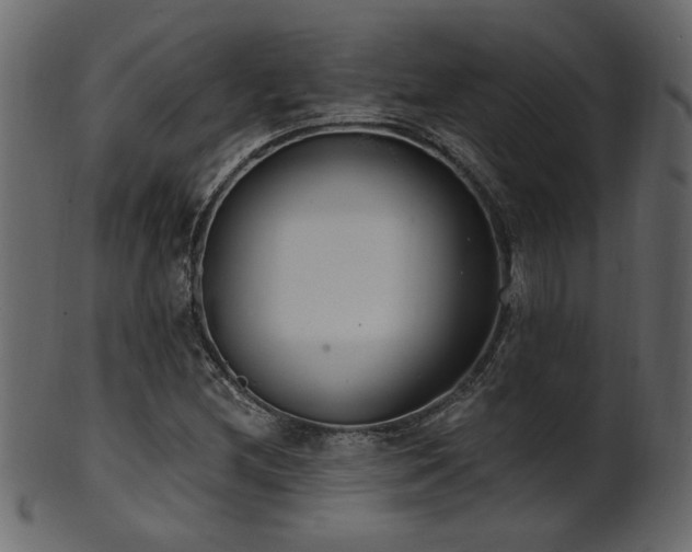 X0000101981212200807181117