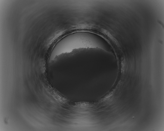 X0000101981213200807181117