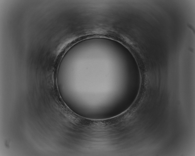 X0000101981214200807181117