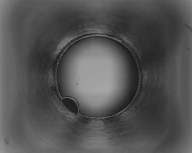 X0000101981215200807181117