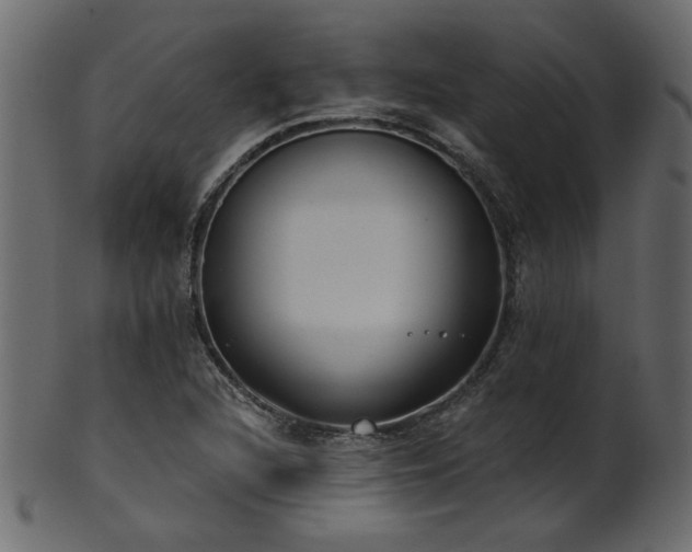 X0000101981216200807181117