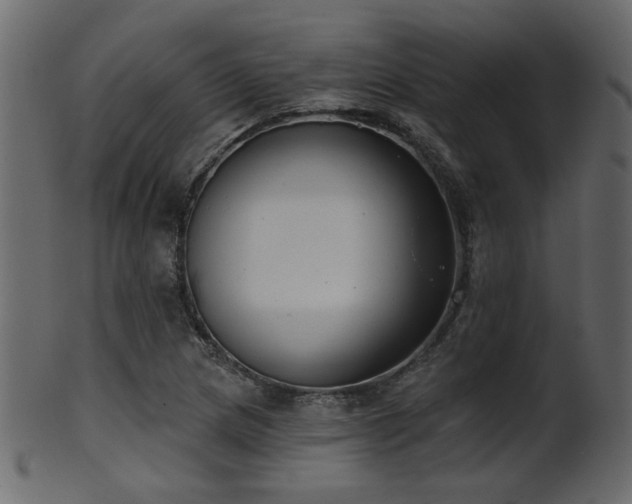 X0000101981217200807181117