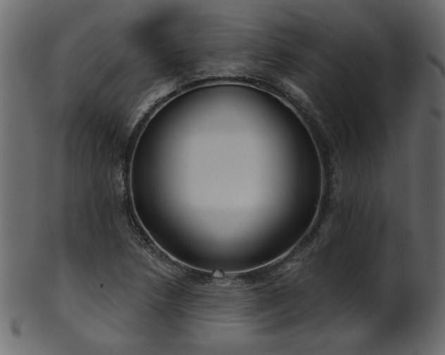 X0000101981218200807181117