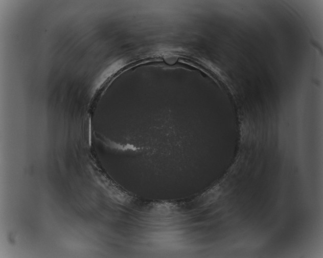 X0000101981219200807181117