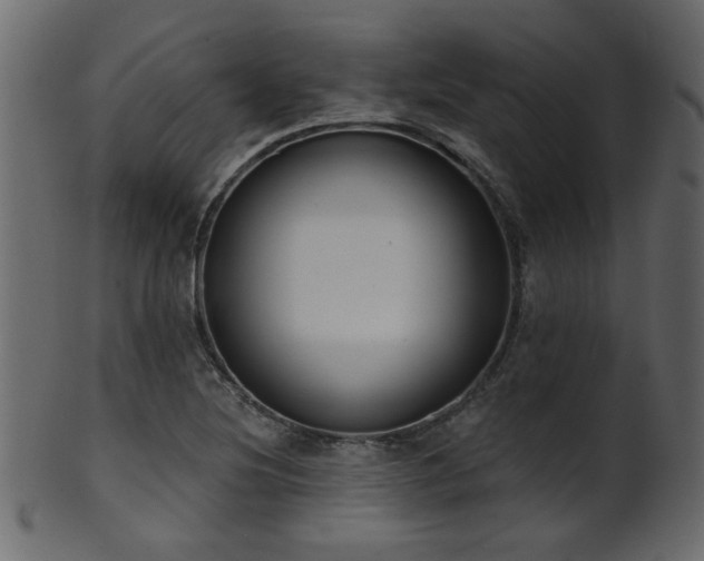 X0000101981220200807181117